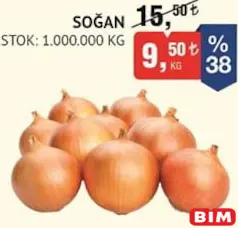 SOĞAN KG SOĞAN KG